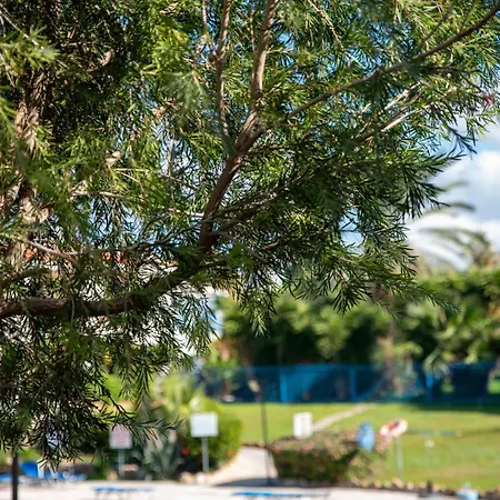 Paradise Gardens Pool View Apartment Paphos Exterior photo